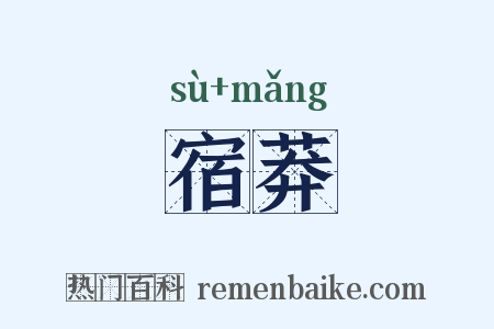 宿莽是什么意思的图片